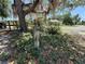 Lush yard with a wooden post and faucet, surrounded by greenery and foliage at 2001 Bates Ave, Eustis, FL 32726
