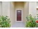 Welcoming front door entrance with decorative plants and warm, inviting curb appeal at 2424 Plumadore Dr, Grand Island, FL 32735
