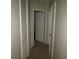 Hallway featuring carpeted floors, a closet, and access to multiple rooms in the home at 2501 Sheridan Rd, Mount Dora, FL 32757