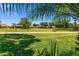 Large backyard featuring a beautiful green lawn with trees and views of other homes at 26822 Bull Run, Leesburg, FL 34748