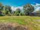 Expansive backyard with lush greenery and privacy, featuring an enclosed pool at 27610 Debbie Rd, Okahumpka, FL 34762
