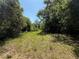 Lush wooded property with mature trees and a grassy area showcases natural beauty and potential at 27610 Debbie Rd, Okahumpka, FL 34762