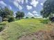 View of the grassy backyard with trees and blue sky with white clouds at 3559 Chapel Hill Blvd, Clermont, FL 34711