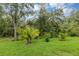 Lush backyard with palm trees and a grassy lawn provides a serene and private outdoor space at 4581 Shenandoah River Trl, Leesburg, FL 34748