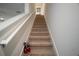 Carpeted staircase leading upstairs, featuring a white railing at 5333 Loblolly Ln, Wildwood, FL 34785