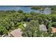 Aerial view of a lush canopy of trees surrounding neighborhood homes near the water at 621 High Point Dr, Mount Dora, FL 32757