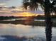 Picturesque sunset view over a serene lake, seen through a screen window, with a palm tree silhouette at 7873 Crosswinds Way, Mount Dora, FL 32757