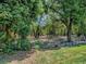 View of large fenced backyard with mature trees at 10994 Se 168Th Loop, Summerfield, FL 34491