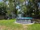 A refreshing above-ground pool in a lush backyard, surrounded by a shed and mature trees at 1104 Flamingo Dr, Leesburg, FL 34748