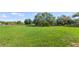 Spacious and well-maintained green lawn, surrounded by mature trees, fenced, and perfect for outdoor activities at 15245 Arabian Way, Montverde, FL 34756