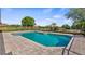 Sparkling pool features a brick paver deck and scenic views of the backyard and surrounding greenery at 15245 Arabian Way, Montverde, FL 34756