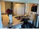 Well-lit kitchen with stainless steel sink and a pass-through to the dining area at 206 Orchid Dr, Davenport, FL 33897