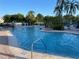 Resort-style swimming pool with clear blue water and lush landscaping, offering a relaxing outdoor experience at 206 Orchid Dr, Davenport, FL 33897