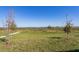 Expansive backyard featuring a lush green lawn and scenic lake views in the distance at 5017 Balsam Falls Rd, Deland, FL 32724