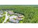 Aerial view of neighborhood featuring homes and large trees at 780 Mystic Hill Ct, Kissimmee, FL 34759