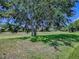 Expansive backyard featuring lush greenery, mature trees providing ample shade at 1016 Eagles Lndg, Leesburg, FL 34748