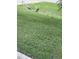 Lush front yard featuring healthy grass and a 'For Sale' sign indicating a desirable property opportunity at 11036 Bronson Rd, Clermont, FL 34711