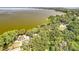Scenic aerial view of wooded property featuring a serene lake backdrop and lush surrounding trees at 1107 Northshore Dr, Eustis, FL 32726