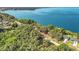 Beautiful aerial view showcases lush greenery and blue water near the property at 1107 Northshore Dr, Eustis, FL 32726