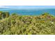 High-angle view of the lush tree canopy surrounding lakefront home, highlighting privacy at 1107 Northshore Dr, Eustis, FL 32726
