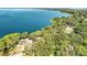 Sweeping aerial perspective shows the expansive lakefront property with lush greenery surrounding at 1107 Northshore Dr, Eustis, FL 32726