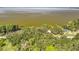 Scenic aerial view of wooded property featuring a serene lake backdrop and lush surrounding trees at 1107 Northshore Dr, Eustis, FL 32726