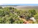 Scenic aerial view of wooded property featuring a serene lake backdrop and lush surrounding trees at 1107 Northshore Dr, Eustis, FL 32726
