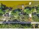 Aerial view of waterfront homes with docks on a tree-lined street bordering a serene lake at 1107 Northshore Dr, Eustis, FL 32726