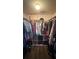 Walk-in closet with ample hanging space and storage, perfect for organizing clothes and accessories at 130 Southern Pecan Cir # 204, Winter Garden, FL 34787