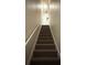 Carpeted staircase with white railings leading to the upper level of the home at 130 Southern Pecan Cir # 204, Winter Garden, FL 34787