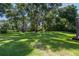 Expansive green backyard with mature trees providing plenty of shade and seclusion at 16951 Florence View Dr, Montverde, FL 34756