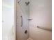Updated shower with safety grab bars and tiled surround offers safety and convenience at 2024 Meadowside Dr, Eustis, FL 32726
