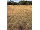 Large open field with mature trees on the perimeter at 24892 Sw Sailboat Dr, Dunnellon, FL 34431