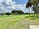 Lush golf course view showcasing the manicured green and palm trees at 26612 Bella Vista Dr, Howey In The Hills, FL 34737
