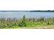 Peaceful lake view, showing the natural shoreline with grasses and diverse plant life at 26612 Bella Vista Dr, Howey In The Hills, FL 34737