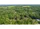 Lush aerial view of Ocala property showcasing the dense tree coverage and nearby open fields at 5581 Sw 197Th Ter, Dunnellon, FL 34431