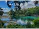 Picturesque view of the clear, turquoise waters of Rainbow Springs, lined with lush greenery at 5581 Sw 197Th Ter, Dunnellon, FL 34431