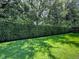 Lush green backyard featuring tall hedges creating a private and tranquil outdoor space at 812 Eagle Claw Ct, Lake Mary, FL 32746