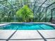Screened swimming pool area with lush green landscaping at 812 Eagle Claw Ct, Lake Mary, FL 32746