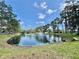 Charming pond with fountain, surrounded by lush trees and manicured grounds at 105 Temple W Cv, Leesburg, FL 34748