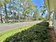Scenic street view overlooking a tranquil pond, framed by towering trees and well-maintained landscaping at 105 Temple W Cv, Leesburg, FL 34748