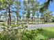 Serene pond view framed by towering trees, lush greenery, and a glimpse of charming homes in the distance at 105 Temple W Cv, Leesburg, FL 34748
