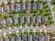 Aerial view of a residential neighborhood showcasing well-manicured lawns, houses, and street layout at 1454 Westbury Dr, Clermont, FL 34711