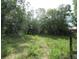 Lush property offers a beautiful, serene landscape with mature trees and verdant native vegetation at 15587 Se 150Th Ave, Weirsdale, FL 32195
