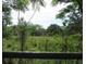 Sprawling land with lots of mature trees and native plants creating a private natural oasis at 15587 Se 150Th Ave, Weirsdale, FL 32195