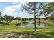 Scenic backyard featuring a pond with a fountain, surrounded by lush greenery and mature trees at 15837 Hidden Lake Cir, Clermont, FL 34711