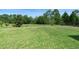 Lush green backyard offering ample space for recreation and outdoor activities at 17112 Goldcrest Loop, Clermont, FL 34714