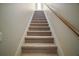 Carpeted stairway with a wooden handrail leading to the upper level of the home at 21206 Canoe Pass St, Clermont, FL 34715