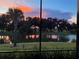 Breathtaking sunrise view of pond and palm trees, visible from screened lanai at 2321 Demarco Dr, The Villages, FL 32163