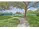 Well-maintained tennis courts framed by a mature tree and lush greenery for recreational enjoyment at 25236 Waterbridge Ct, Leesburg, FL 34748